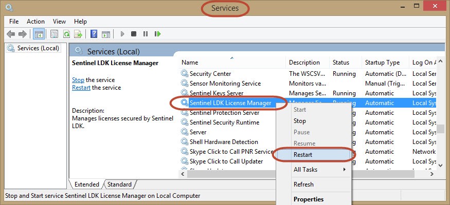 Sentinel LDK License Manager