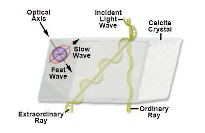 Fig1.png