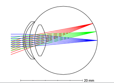 layout image